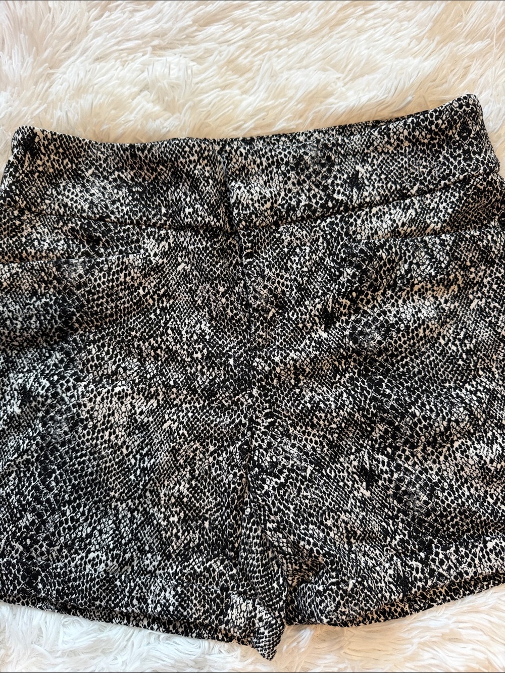 Snake print inc concepts casual shorts